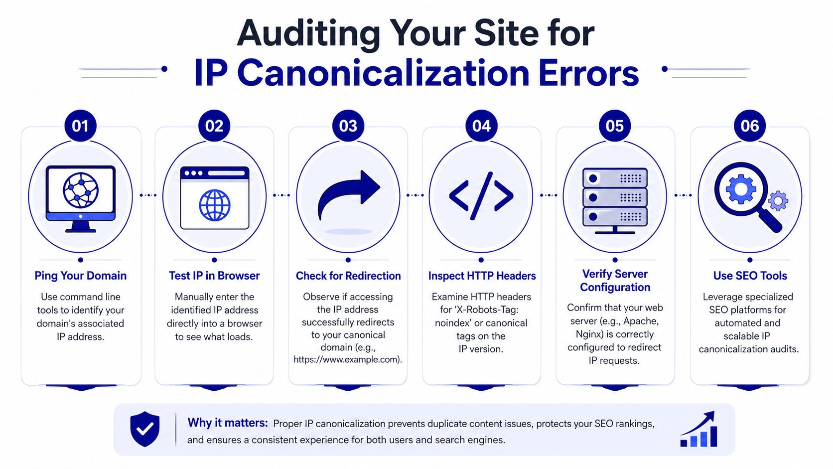 A step-by-step infographic titled Auditing Your Site for IP Canonicalization Errors with six numbered process icons.